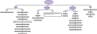 Proceso del protocolo de absentismo escolar