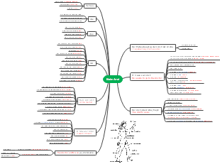 A mind map of a doctor's inquiry