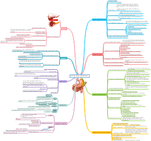 Enfermedades Pancreaticas