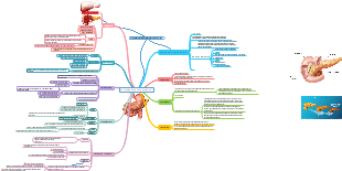 Enfermedades Pancreaticas