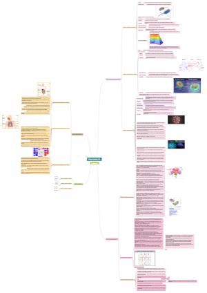 Biology Culminating Task