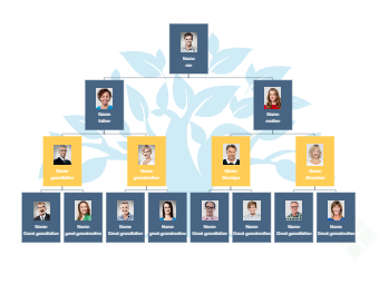 Image Relationship Family Tree