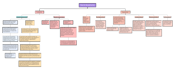 Reconstruction Plan