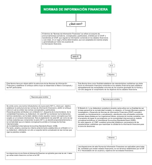 NORMAS DE INFORMACIÓN FINANCIERA