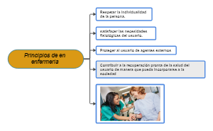 Principios de enfermería