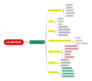 Clasificación de la empresa