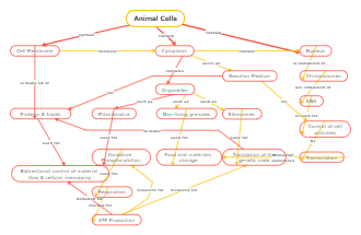 Animals Cell Concept Map