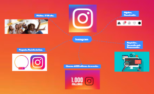 Instagram briefing