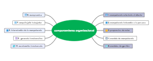 comportamiento organizacional 