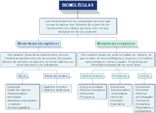 BIOMOLÉCULAS