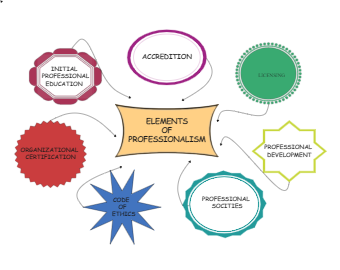 Elements of Professionalism Concept Map