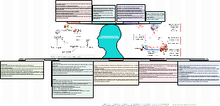LA MICROBIOTA INTESTINAL Y LA SALUD MENTAL PERSPECTIVAS ACTUALES Y FUTURAS