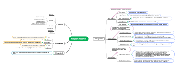 Program Tasarımı