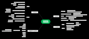 PANDEMIC IMPACTS