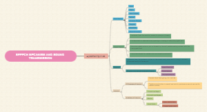 Speech Mechanism and Sound Transmission