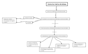 Global Actions Against Tobacco Consumption