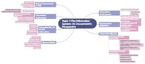 The Information System - An Accountant's Perspective