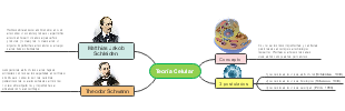 Cell Theory Explained