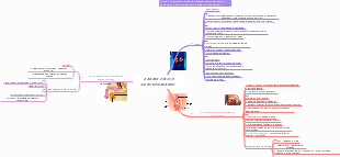 Comprehensive Guide to Genitourinary System Examination