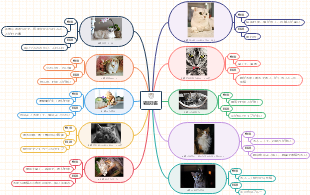 猫図鑑