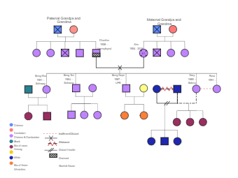 Chinese and Cambodian Family Genogram