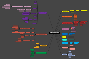 Mapa mental de Gestão Internacional