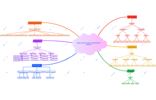 6 Most Common Types of Organizational Structure