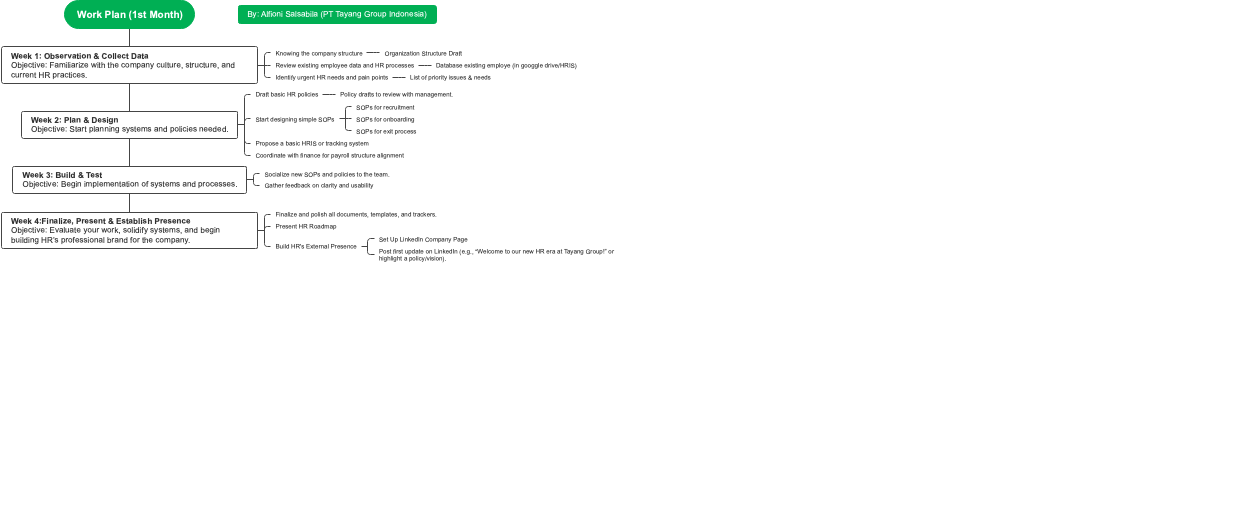  Work Plan (First Month)