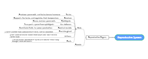 Reproductive System