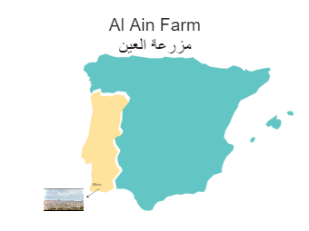 AIN农场布局地图