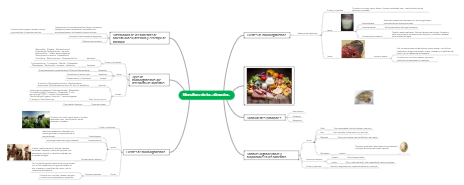 Microflora de los alimentos 