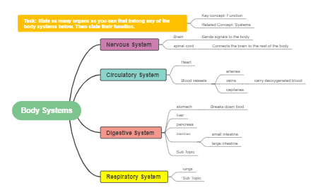 Body Systems