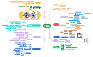 Protocole Iridologie