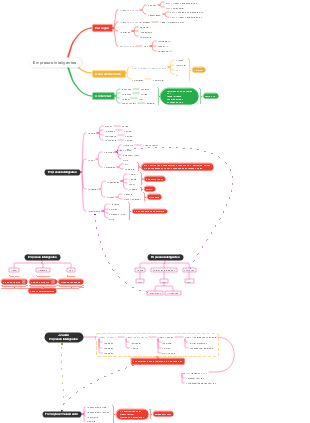 Empresas Inteligentes (EI): Estrutura e Estratégias