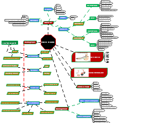Anatomical and Pathophysiological Insights into Arm Pain