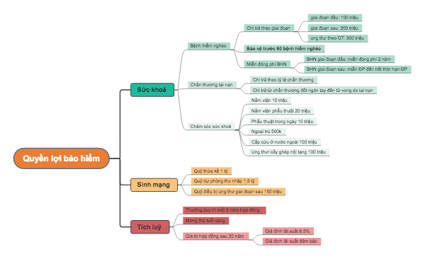 Quyền Lợi Bảo Hiểm - Mind Map Özeti