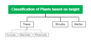 Classification of Plants