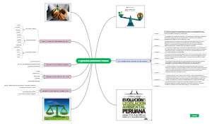 Legislacion Ambiental Peruana