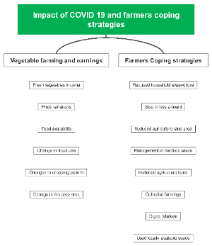 Impacts of COVID-19 And Farmers' Coping Strategies