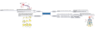 Mapa mental ciencias sistema nervoso