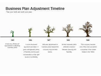 Business Plan Adjustment Timeline