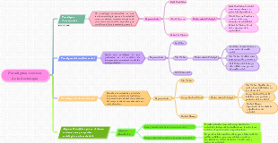 Paradigmas teóricos de la Sociología