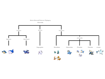 Marine Mammal Phylogeny