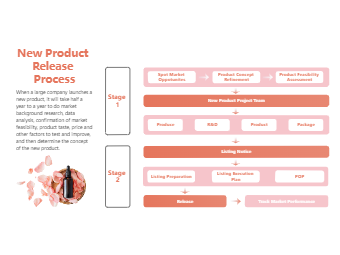 Colorful New Product Release Process