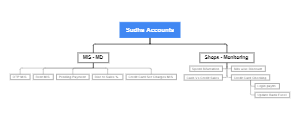 Account Management: MIS Reports and Financial Monitoring