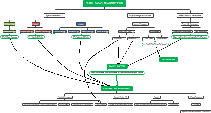 DiJiTAL PAZARLAMA STRATEJiSi