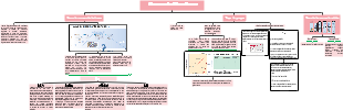 Crescimento Microbiano