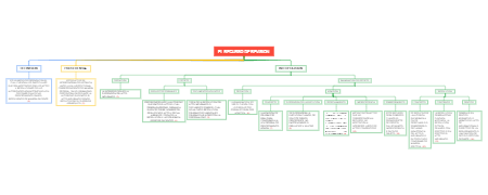 el recurso de revision