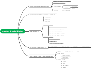digestion de carbohidratos 
