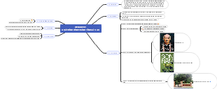 WEBQUEST QUÁ TRÌNH HÌNH THÀNH CẦU MẦU